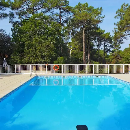 Les Grands Pins-1 By Interhome Apartment
